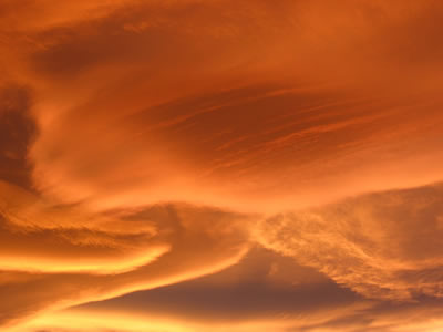 <a
  href="/earth/Atmosphere/clouds/lenticular.html&edu=elem&dev=">Lenticular
  clouds</a> form on the downwind side of mountains. <a
  href="/earth/Atmosphere/wind.html&edu=elem&dev=">Wind</a>
  blows most types of clouds across the sky, but lenticular clouds seem to stay
  in one place. Air moves up and over a mountain, and at the point where the
  air goes past the mountaintop the lenticular cloud forms, and then the air <a
  href="/earth/Water/evaporation.html&edu=elem&dev=">evaporates</a>
  on the side farther away from the mountains. This close up of lenticular
  clouds was taken at sunset on November 20, 2006 in Boulder, Colorado.<p><small><em>       Courtesy of Roberta Johnson</em></small></p>