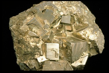 Gold or Fool's Gold? There are two easy ways to tell Fool's Gold, the
  <a
  href="/earth/geology/min_intro.html&edu=high&dev=1">mineral</a>
  <a
  href="/earth/geology/min_pyrite.html&edu=high&dev=1">pyrite</a>,
  from real gold. First, pyrite leaves a black streak on a white tile whereas
  gold leaves, well, a gold streak. Also, pyrite is much harder than gold.
  Pyrite is made up of the <a
  href="/earth/geology/periodic_table.html&edu=high&dev=1">elements</a>
  iron (Fe) and sulfur (S). Both of these two elements are among the <a
  href="/earth/geology/crust_elements.html&edu=high&dev=1">eight
  most abundant</a> in the <a
  href="/earth/interior/earths_crust.html&edu=high&dev=1">Earth's
  crust</a>.<p><small><em> Courtesy of Corel</em></small></p>