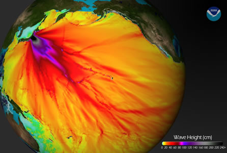 The massive 9.0 magnitude <a href="/earth/geology/quake_1.html">earthquake</a> off of Honshu, Japan on <a href="/headline_universe/march112011earthquaketsunami.html">11 March 2011</a> generated a <a href="/earth/tsunami1.html">tsunami</a> that exceeded 10 meters on the coast near the epicenter.  This image shows model projections for the tsunami wave height in cm which are in good agreement with the observed waves. Our thoughts and prayers are with those who were lost, and their families, as we remember this event.<p><small><em><a href="http://blogs.agu.org/wildwildscience/files/2011/03/680_20110311-TsunamiWaveHeight.jpg">NOAA Tsunami Wave Height Projections image</a></em></small></p>