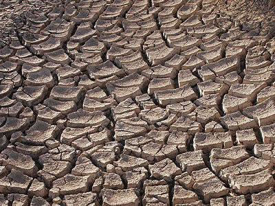 As temperatures rise and soil moisture decreases, plants are stressed, which can lead to <a href="/earth/climate/crops_withering.html&dev=">crop withering</a>. <a href="/teacher_resources/online_courses/health/events_health.html&dev=">Droughts</a> accompanied by increased temperatures can lead to famine, social and political disruptions. Scientists are  helping with early identification of drought that might trigger food shortages. Watch the NBC Learn video - <a href="/earth/changing_planet/withering_crops_intro.html&dev=">Changing Planet: Withering Crops</a> to find out more.<p><small><em>Image taken by Tomas Castelazo, Creative Commons <a href=&quot;http://creativecommons.org/licenses/by/3.0/deed.en&quot;>Attribution 3.0 Unported</a> license.</em></small></p>