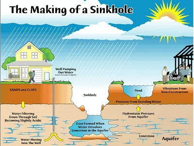 Sinkholes are <a href="/teacher_resources/main/frameworks/esl_bi8.html&edu=elem&dev=">natural hazards</a> in many places around the world. They are formed when water dissolves underlying <a href="/earth/Water/carbonates.html&edu=elem&dev=">limestone</a>, leading to collapse of the surface.  Hydrologic conditions such as a lack of rainfall, lowered water levels, or excessive rainfall can all contribute to sinkhole development. On 2/28/2013, a sinkhole suddenly developed under the house outside of Tampa, Florida, leading to the tragic death of its occupant, Jeff Bush.<p><small><em>Image courtesy of Southwest Florida Water Management District</em></small></p>