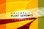 Secrets of Plant Genomes Revealed